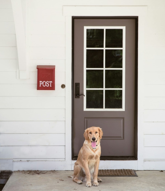 An average of 42 posties a week are attacked by dogs